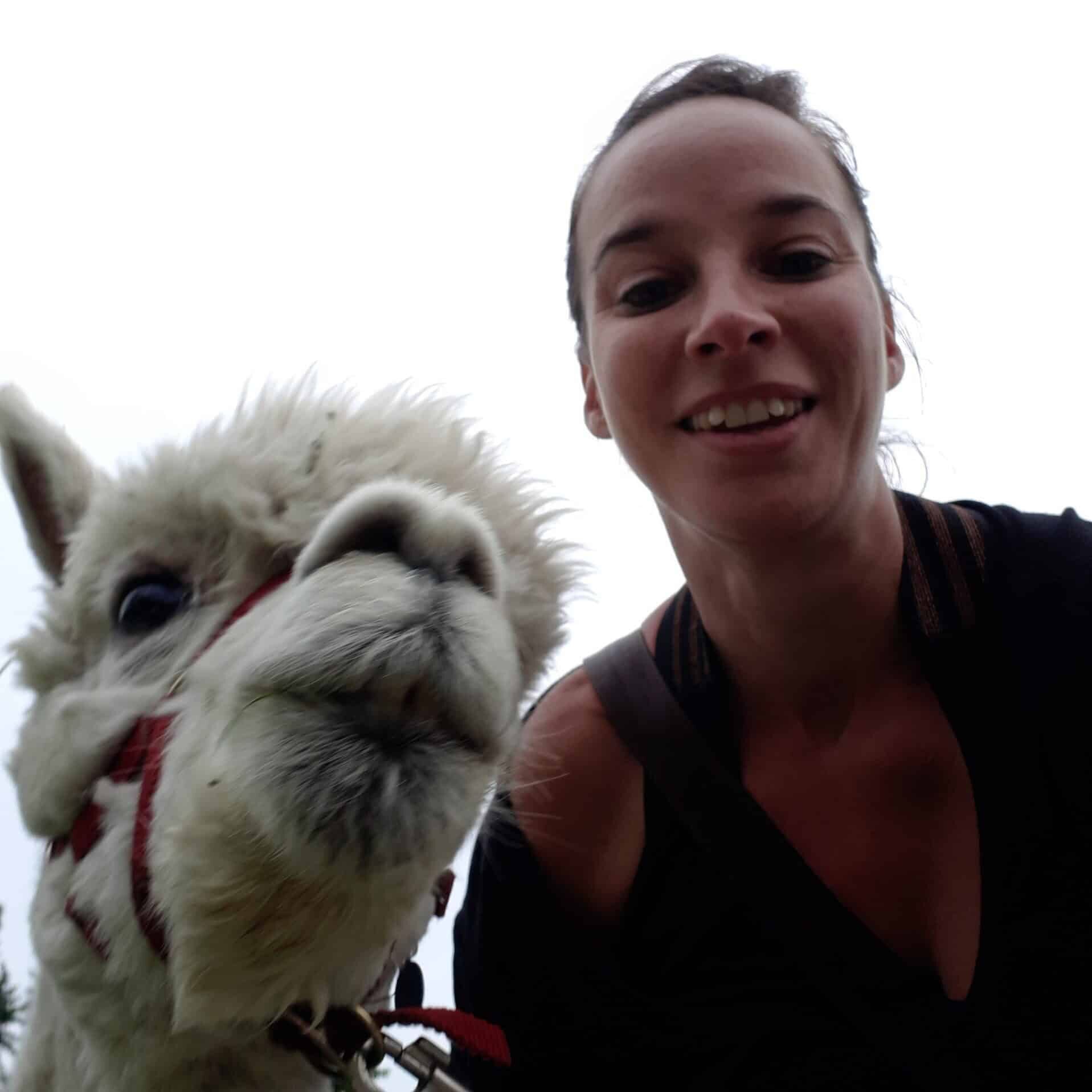 Woman takes a selfie with a white alpaca wearing a red halter. - Passing Zone